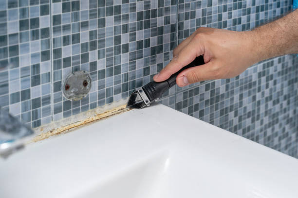Professional Mold Removal in Memphis, TN